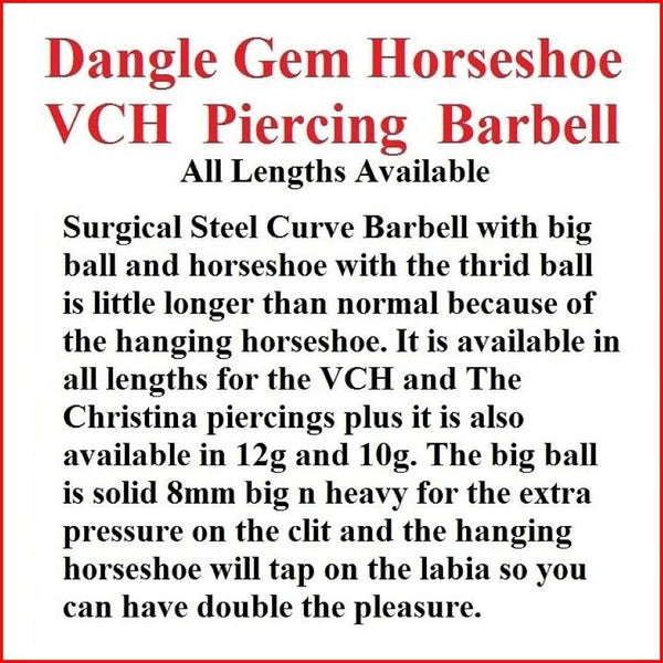 Dangle Gem Horseshoe Surgical Steel VCH Piercing Barbell.