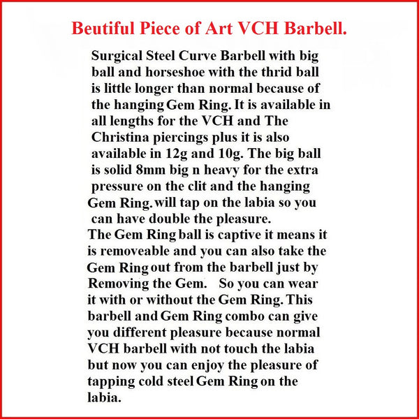 Beautiful Piece of Art VCH Barbell.