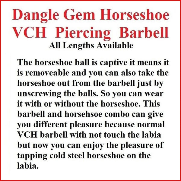 Dangle Gem Horseshoe Surgical Steel VCH Piercing Barbell.