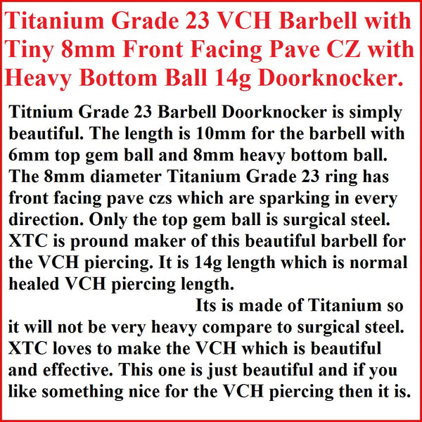 Titanium Grade-23 Beautiful Front Facing Pave CZ Doorknocker Barbell.