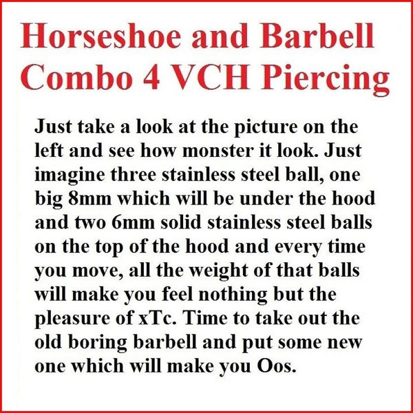 Surgical Steel HORSESHOE & BARBELL COMBO for VCH Piercing.